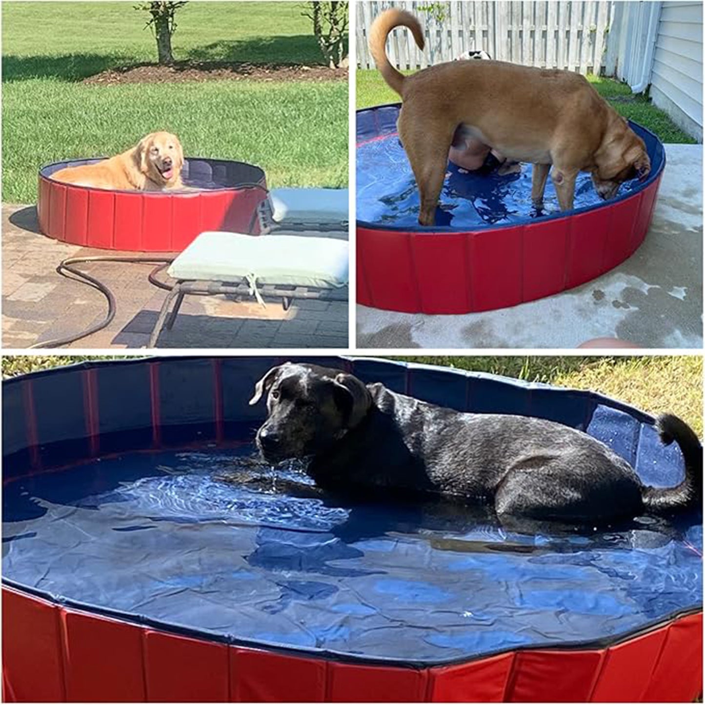 Mono-gatari Collapsible Pet Pool, Portable Dog Pool, Red